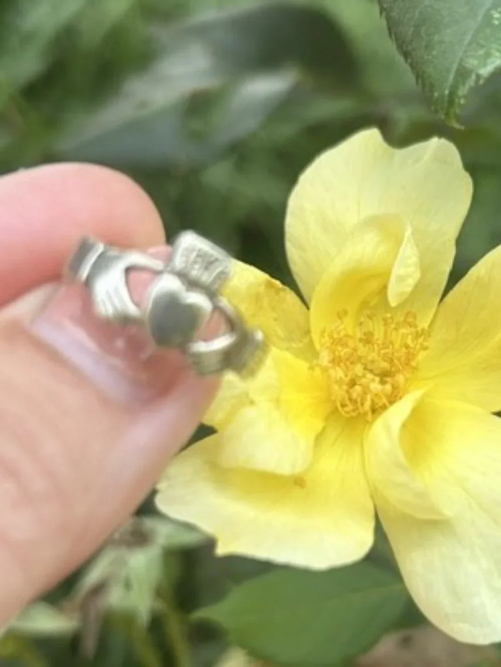 CLADDAGH Sterling Silver Irish RING